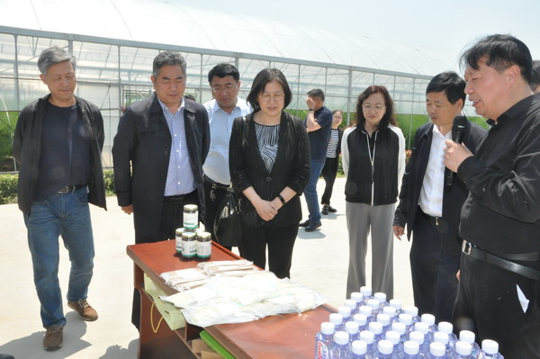 郑丽敏副主委赴淮指导乡村振兴专题调研活动 (3).JPG