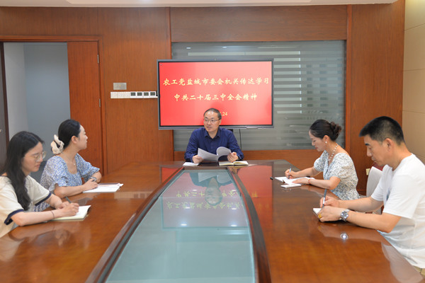 农工党盐城市委会机关传达学习中共二十届三中全会精神.jpg