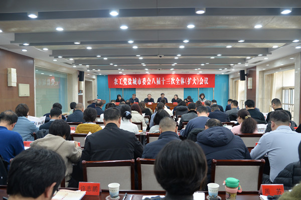 1农工党盐城市委会八届十三次全体（扩大）会议召开.jpg