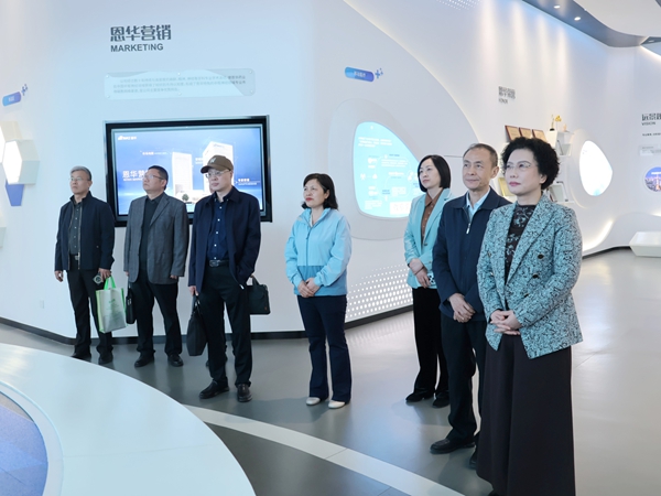 图 (1)恩华.JPG
