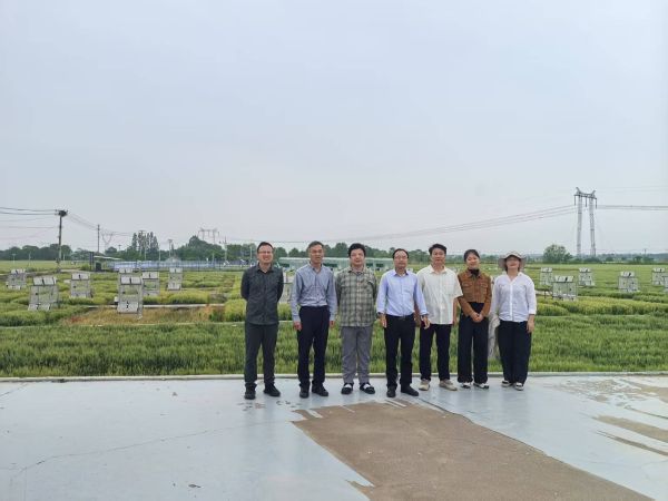南京土壤研究所组织党员前往江苏省土壤碳中和与气候变化应对试验基地参观调研3.jpg